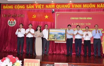 Đắk Nông muốn đột phá phát triển chỉ có bô xít