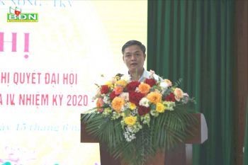 Nửa nhiệm kỳ, Công ty Nhôm Đắk Nông nộp ngân sách 1.407 tỷ đồng